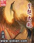 金翅大鵬最新章節列表,金翅大鵬全文閱讀