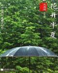 花開半夏最新章節列表,花開半夏全文閱讀
