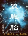 雙胞胎最新章節列表,雙胞胎全文閱讀